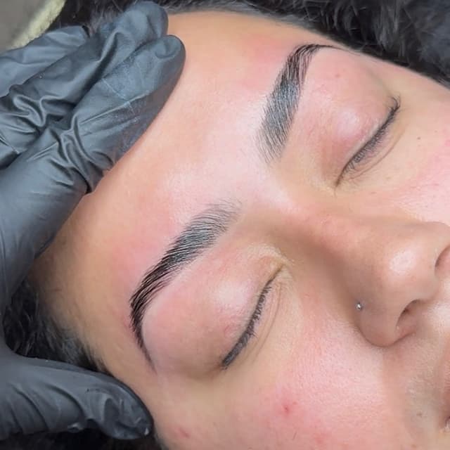 Prestige Lamination Members at Soignéé Brow Bar in Gibsonton, FL